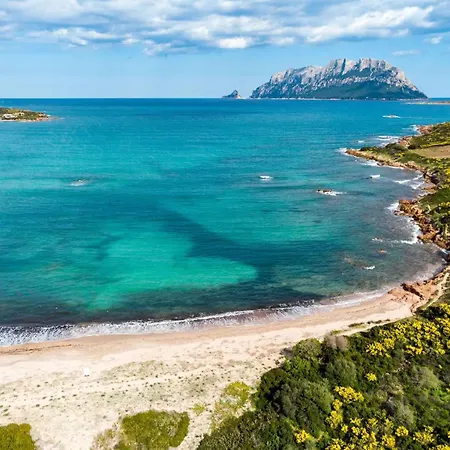 Appartement Cozy 150m From Pittulongu *