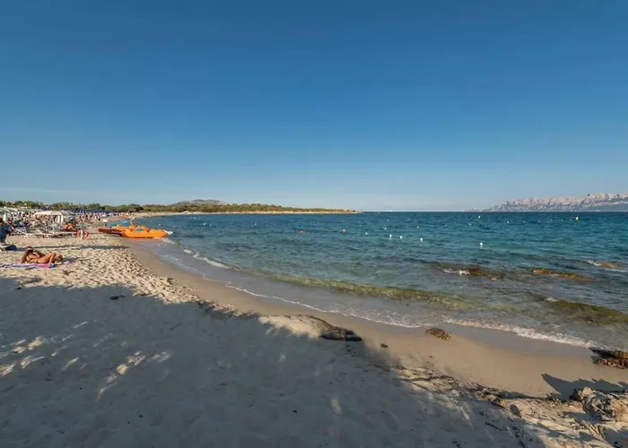 Appartement Cozy 150m From Pittulongu *